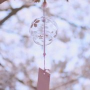 青春就是一场豪赌，不忘初心会赢到最后？