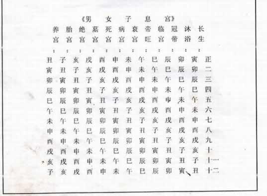夫妻宫