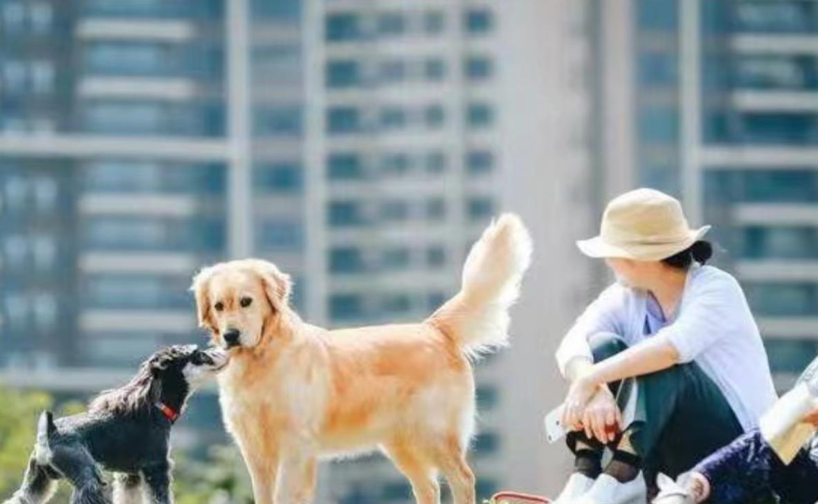 养狗最忌讳的一句话，哪三种人不宜养狗