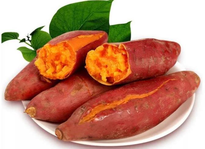 入秋后吃什么菜最好，立秋后适合吃什么食物
