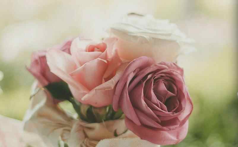 订婚前为什么容易分手,订婚后分手意味着什么