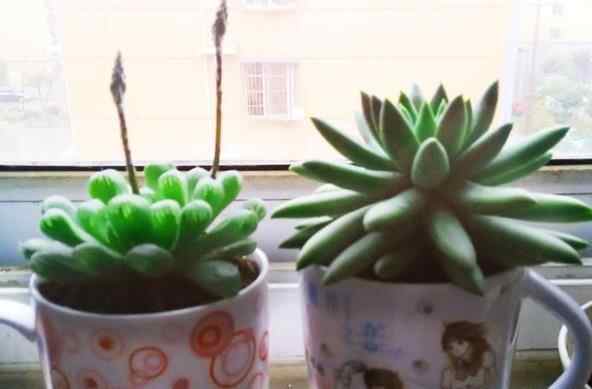 突然换头像的女人心理,老是换头像的女人是什么心理