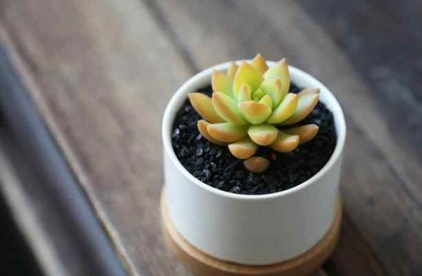 突然换头像的女人心理,老是换头像的女人是什么心理