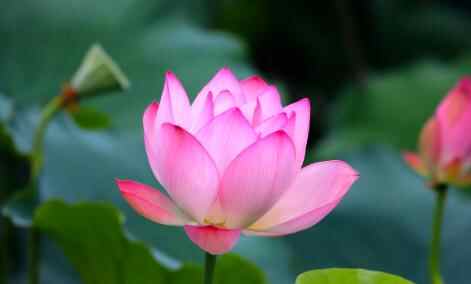 怎么辨别一个人的人品，人品决定一个人的价值吗