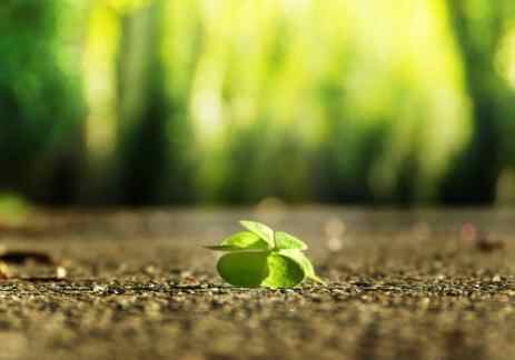 怎么辨别一个人的人品，人品决定一个人的价值吗