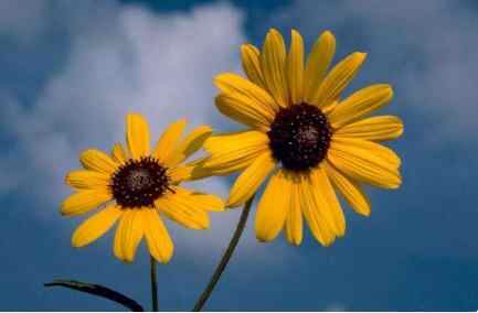 怎么辨别一个人的人品，人品决定一个人的价值吗