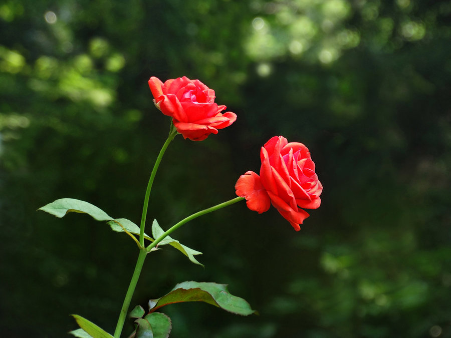 相处超过多久是真爱,什么感情叫做真爱