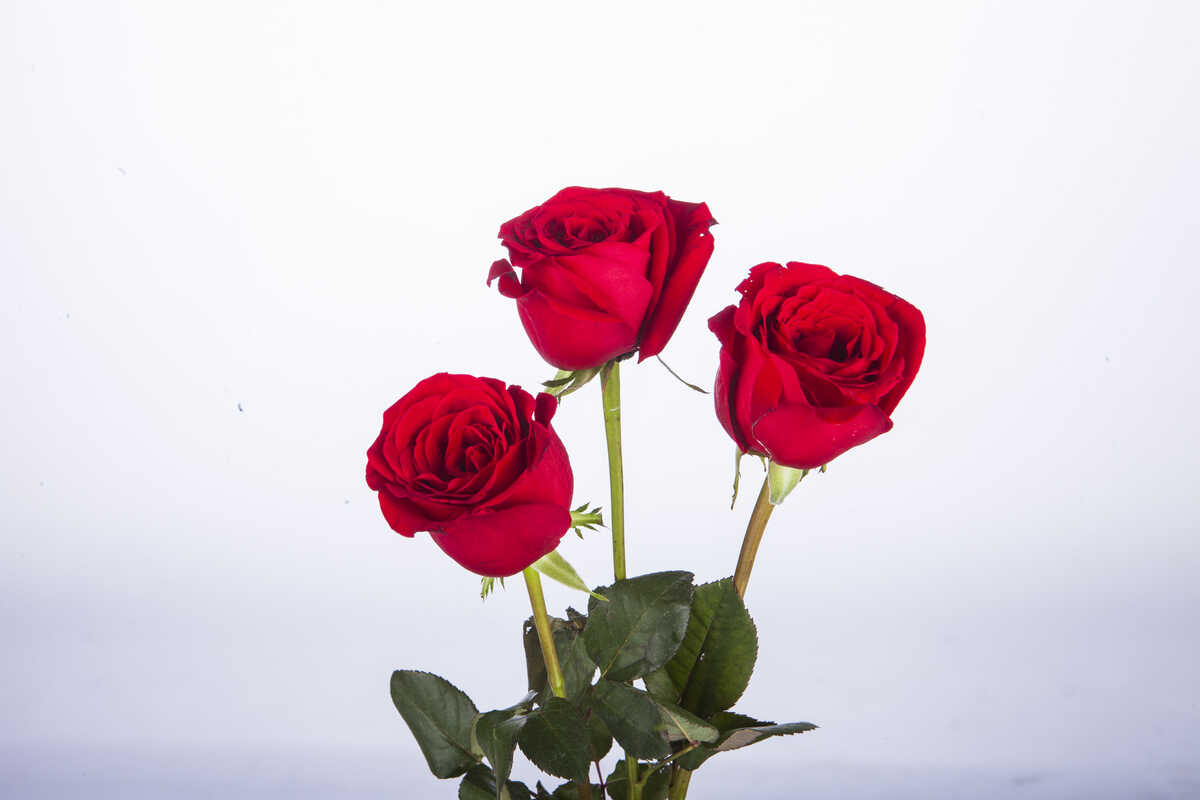 相处超过多久是真爱,什么感情叫做真爱