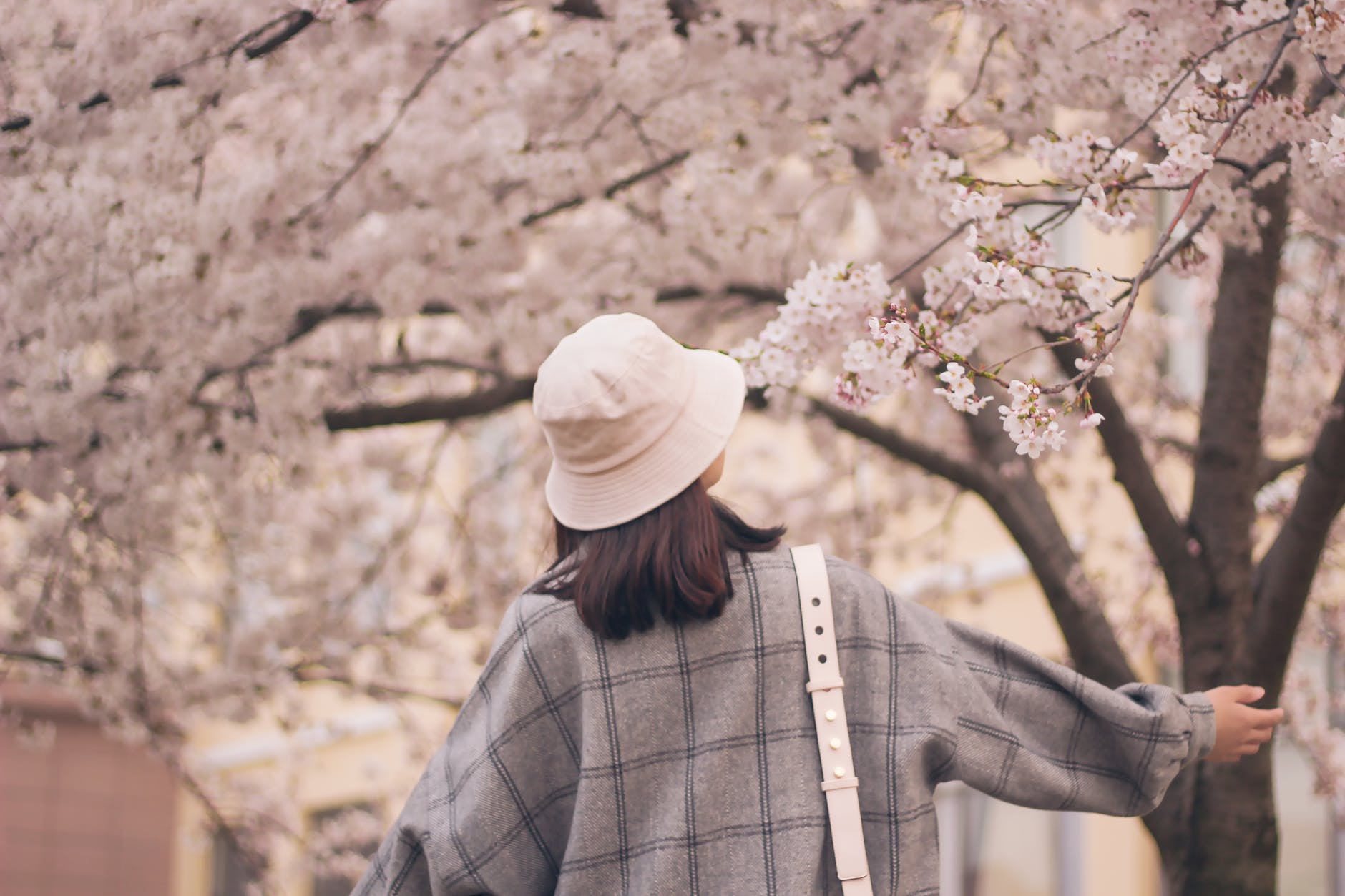 爱上花心女人怎么办，太花心的女人能要吗