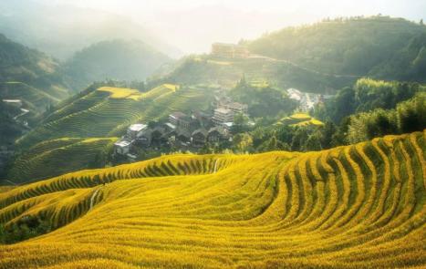 人死后为何要落叶归根，人老了为啥想落叶归根