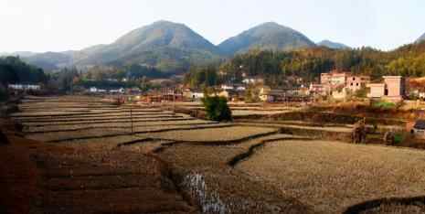 人死后为何要落叶归根，人老了为啥想落叶归根