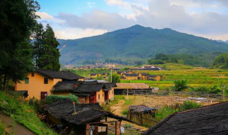 人死后为何要落叶归根，人老了为啥想落叶归根