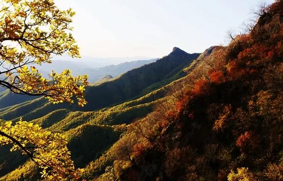 岳父岳母要离婚怎么劝，离婚后见到岳父叫什么