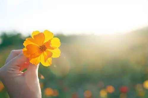 为什么小学同学感情深，为什么同学比同事感情深