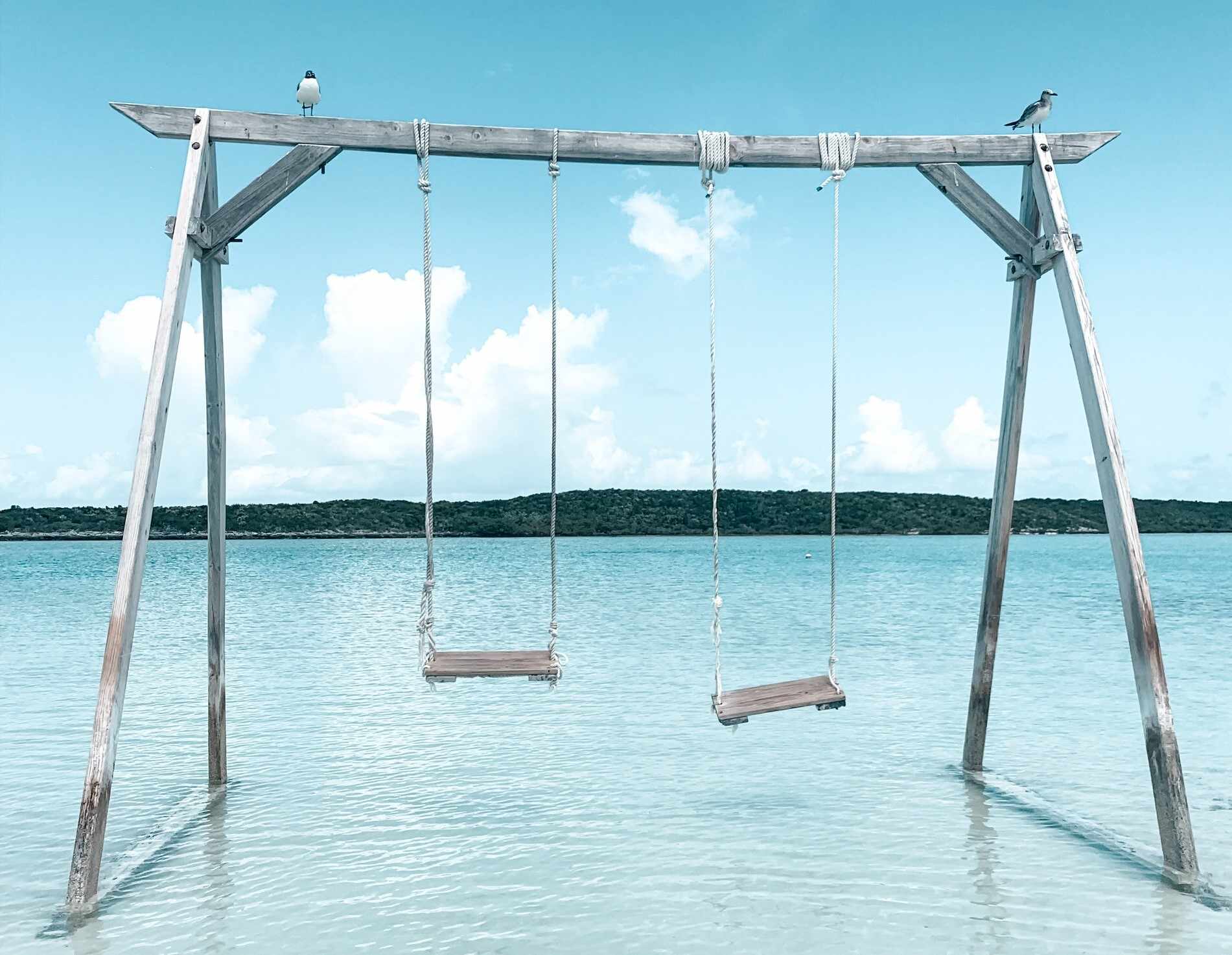 为什么小学同学感情深，为什么同学比同事感情深