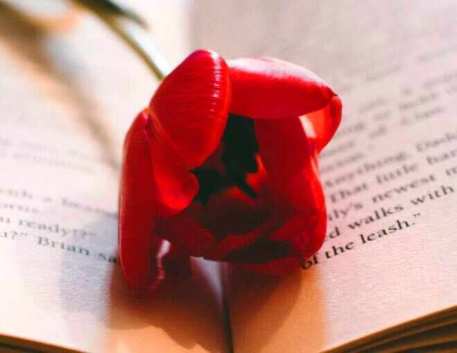 男生说的暖床什么意思，男生说想给女生暖床是什么意思