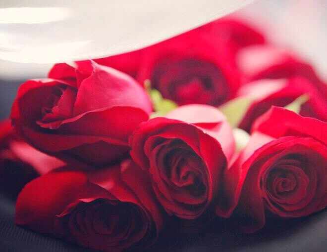 男生说的暖床什么意思，男生说想给女生暖床是什么意思