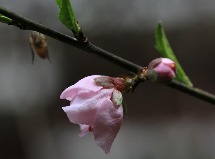 男人说女人俗气是什么意思，一个人俗气到骨子里的表现