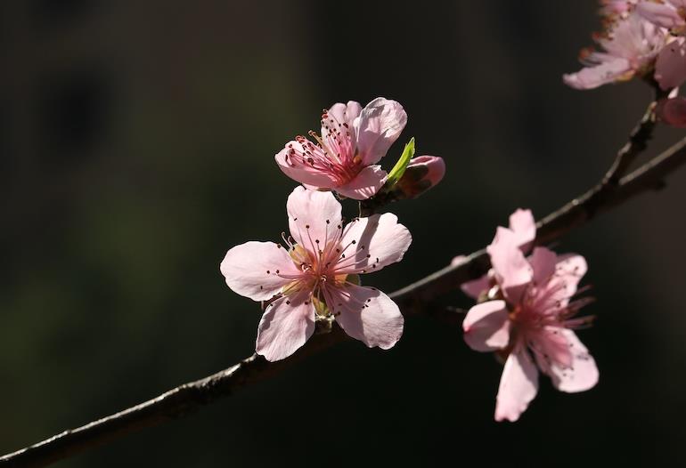男人说女人俗气是什么意思，一个人俗气到骨子里的表现