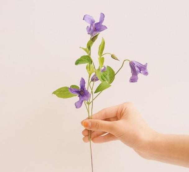 和婆婆相处的八大禁忌,条件越好的婆家婆婆越好相处吗