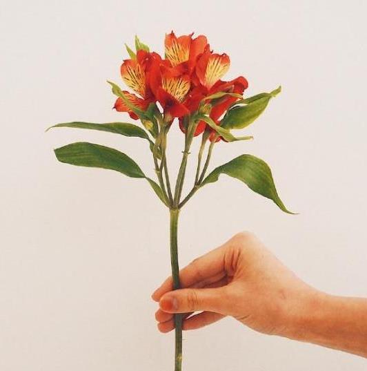 和婆婆相处的八大禁忌,条件越好的婆家婆婆越好相处吗