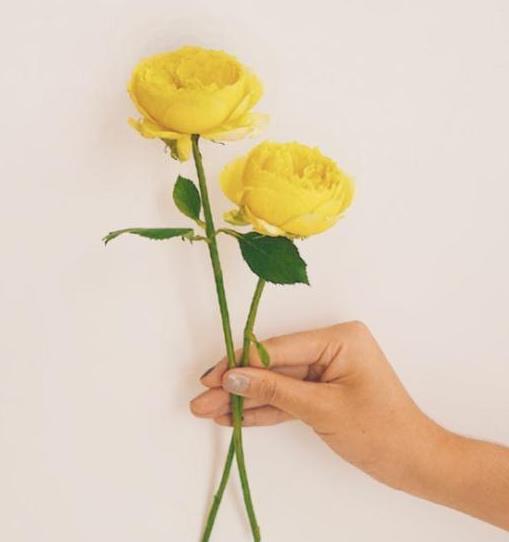 和婆婆相处的八大禁忌,条件越好的婆家婆婆越好相处吗