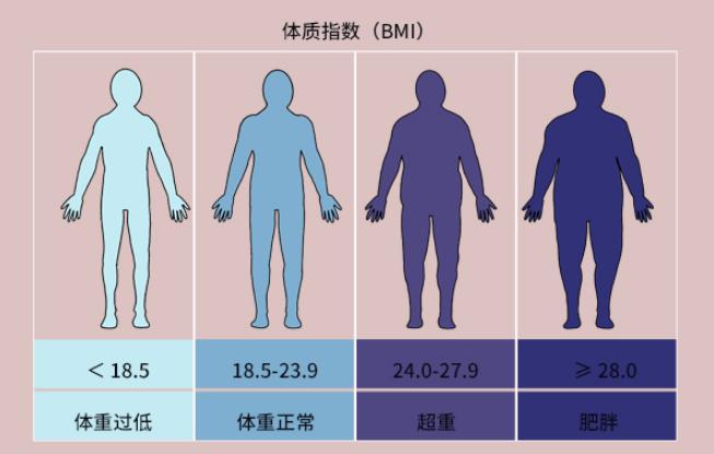 怎么知道女性bmi大小，女性bmi大好还是小的好