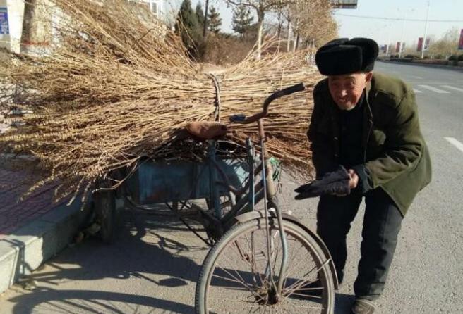 没老伴晚年怎么过才幸福,没有老伴如何度晚年