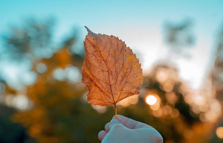 隔着屏幕聊出来的感情能维持多久，隔着屏幕真能喜欢一个人吗