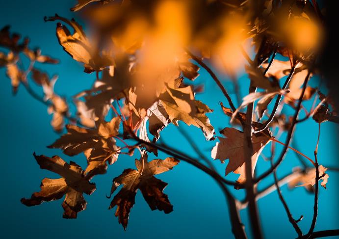 隔着屏幕聊出来的感情能维持多久，隔着屏幕真能喜欢一个人吗