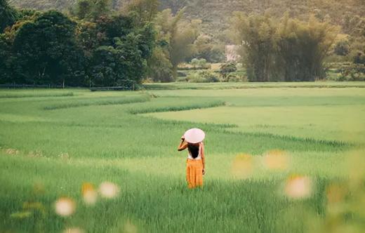 中年女人最大依靠是谁,中年最大的悲哀是什么
