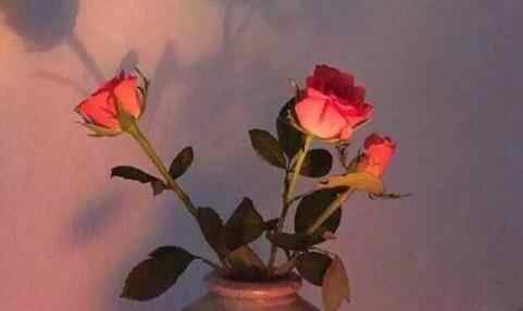 问男生的十个致命问题，问男生比较狠的真心话