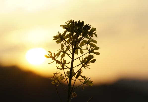 女人经营家庭的智慧,怎么才能经营好一个家