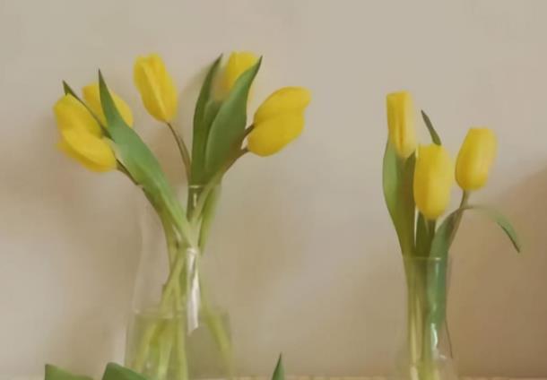 女人经营家庭的智慧,怎么才能经营好一个家