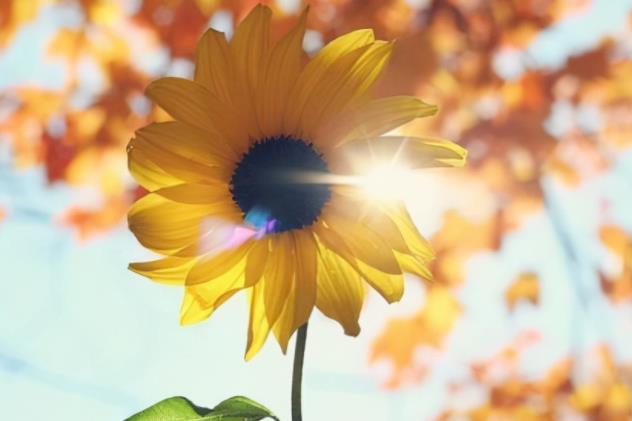 男生主动删人意味什么，男人会删除喜欢的人吗