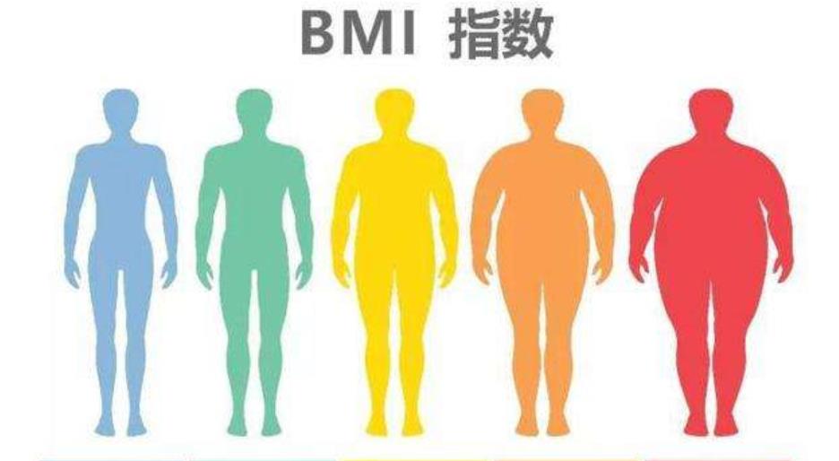 女性bmi越小越好吗，女性bmi什么意思