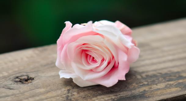 怎么样算正式谈恋爱,谈恋爱该不该正式表白