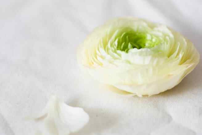 平淡期怎么让感情升温,如何让平淡的感情迅速升温