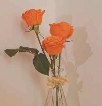 相亲必须知道的5个条件，相亲需要哪些基本条件