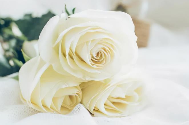 男生碰到真正喜欢的人表现,女孩子碰到喜欢的男生的表现