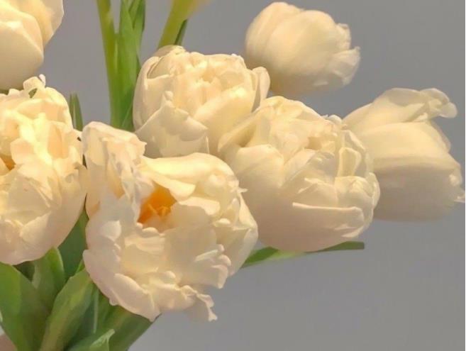 男生碰到真正喜欢的人表现,女孩子碰到喜欢的男生的表现