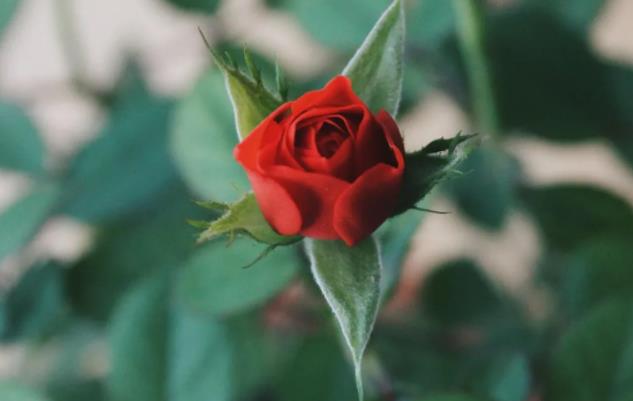 男生碰到真正喜欢的人表现,女孩子碰到喜欢的男生的表现