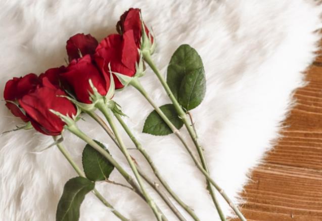 遇到对的人是什么感觉，缘分很强的两个人会经常偶遇吗