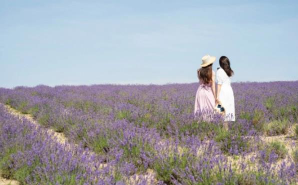 怎么改掉自己的恋爱脑,怎么才能摆脱恋爱脑