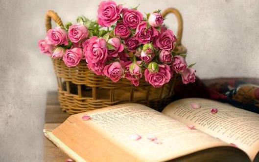 男人说随缘是拒绝吗,已婚男人说随缘是什么心态