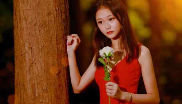 爱情的三大基础是什么,爱情的基础分为哪三个方面