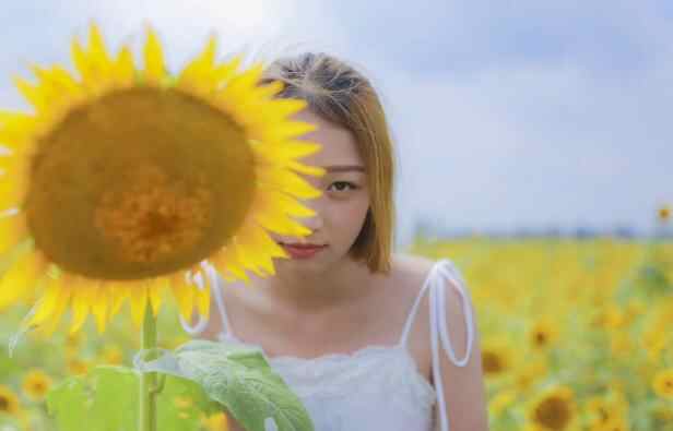 爱情的三大基础是什么,爱情的基础分为哪三个方面