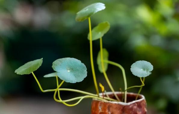 什么样的人容易发大财,发大财的人一般都有哪些特征