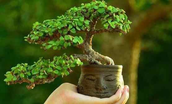 什么样的人容易发大财,发大财的人一般都有哪些特征