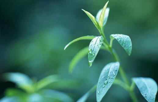 女人让男人心寒十大愚蠢行为,相亲对象最让人反感行为有哪些